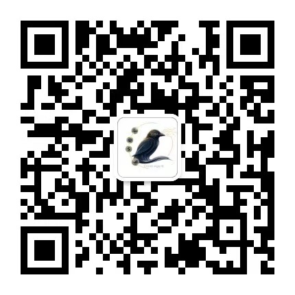 渡鸦手记二维码